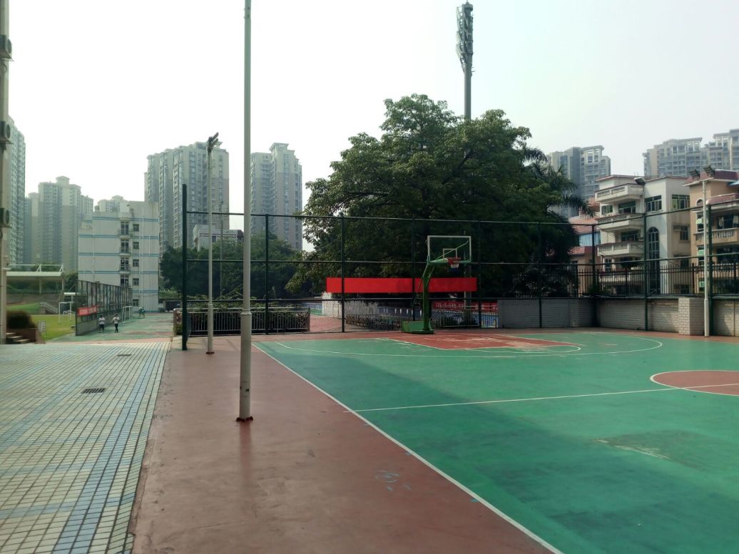 basketballfield